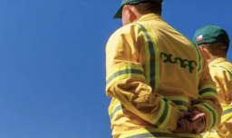 DMC emite aviso por altas temperaturas y Conaf refuerza alerta por riesgo de incendios